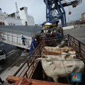 Pekerja melakukan bongkar muat sapi impor dari Australia di Pelabuhan Tanjung Priok, Jakarta dari kapal Gelbray Express, Kamis (21/3/2024). (CNBC Indonesia/Tri Susilo)