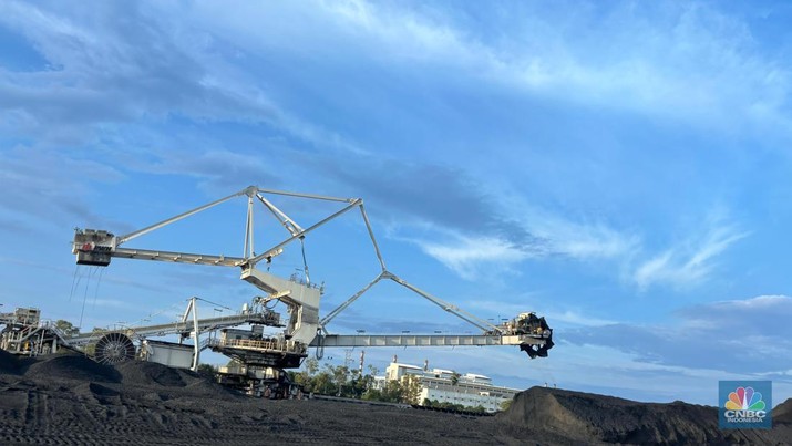 Stock Pile batu bara PT Kaltim Prima Coal, Tanjung Bara, Kalimantan Timur. (CNBC Indonesia/Firda Dwi Muliawati)