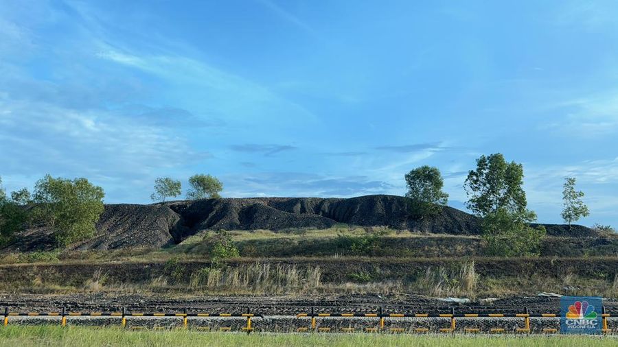 Stock Pile batu bara PT Kaltim Prima Coal, Tanjung Bara, Kalimantan Timur. (CNBC Indonesia/Firda Dwi Muliawati)