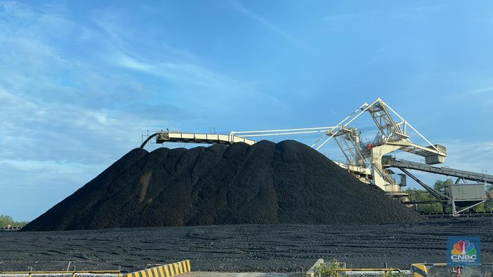 Stock Pile batu bara PT Kaltim Prima Coal, Tanjung Bara, Kalimantan Timur. (CNBC Indonesia/Firda Dwi Muliawati)