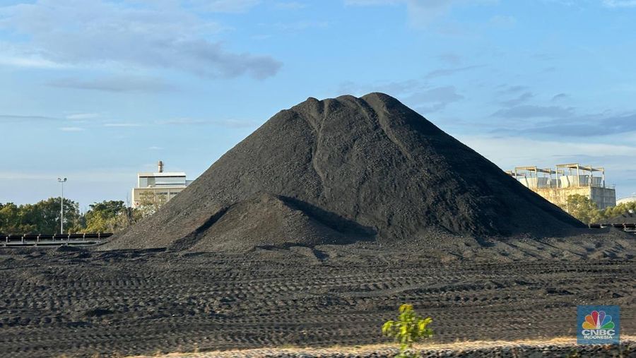Stock Pile batu bara PT Kaltim Prima Coal, Tanjung Bara, Kalimantan Timur. (²©²ÊÍøÕ¾/Firda Dwi Muliawati) Stock Pile batu bara PT Kaltim Prima Coal, Tanjung Bara, Kalimantan Timur. (²©²ÊÍøÕ¾/Firda Dwi Muliawati)