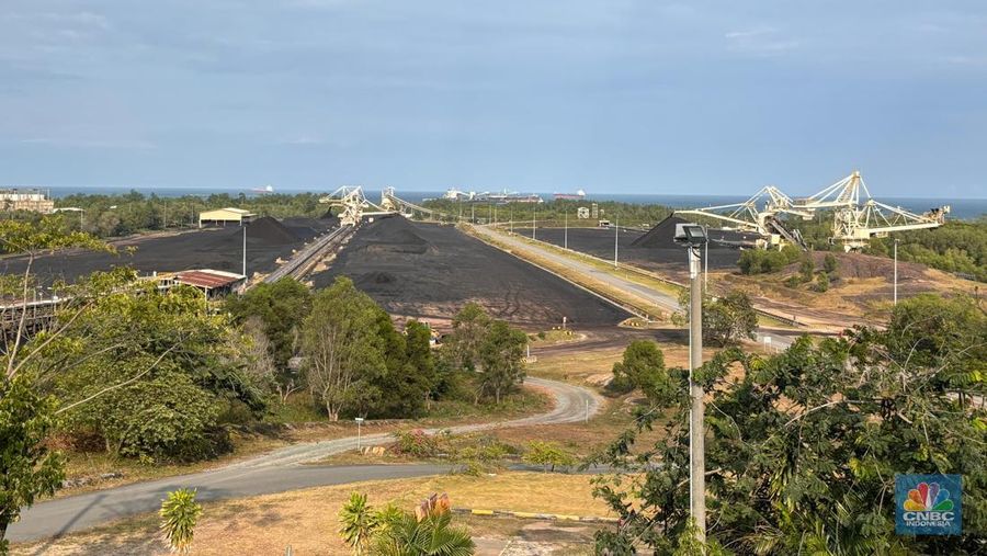 Stock Pile batu bara PT Kaltim Prima Coal, Tanjung Bara, Kalimantan Timur. (²©²ÊÍøÕ¾/Firda Dwi Muliawati)