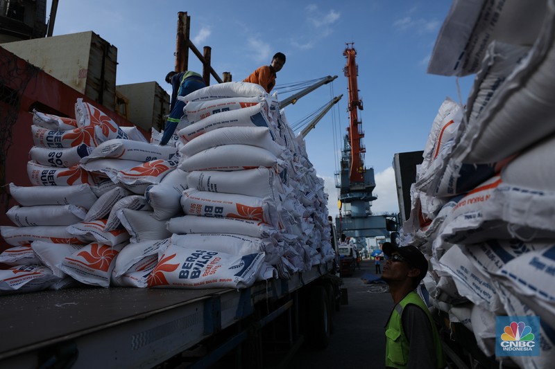 Suasana aktivitas pembongkaran beras impor dari Vietnam yang baru tiba di Terminal Pelabuhan Tanjung Priok, Jakarta, dengan menggunakan Kapal MP Fortune, Kamis (21/3/2024). Suasana aktivitas pembongkaran beras impor dari Vietnam yang baru tiba di Terminal Pelabuhan Tanjung Priok, Jakarta, dengan menggunakan Kapal MP Fortune, Kamis (21/3/2024). (CNBC Indonesia/Tri Susilo)