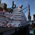 Waduh! Pemerintahan Jokowi Akui Sulit Setop Impor Beras, Ini Sebabnya