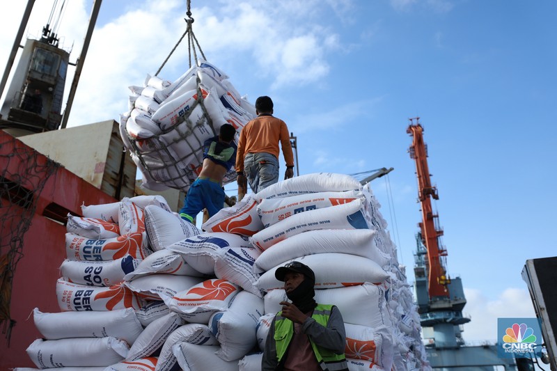 Suasana aktivitas pembongkaran beras impor dari Vietnam yang baru tiba di Terminal Pelabuhan Tanjung Priok, Jakarta, dengan menggunakan Kapal MP Fortune, Kamis (21/3/2024). Suasana aktivitas pembongkaran beras impor dari Vietnam yang baru tiba di Terminal Pelabuhan Tanjung Priok, Jakarta, dengan menggunakan Kapal MP Fortune, Kamis (21/3/2024). (CNBC Indonesia/Tri Susilo)