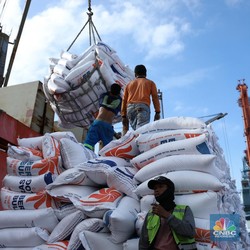Penampakan 27.000 Ton Beras Vietnam Tiba di Pelabuhan Tanjung Priok
