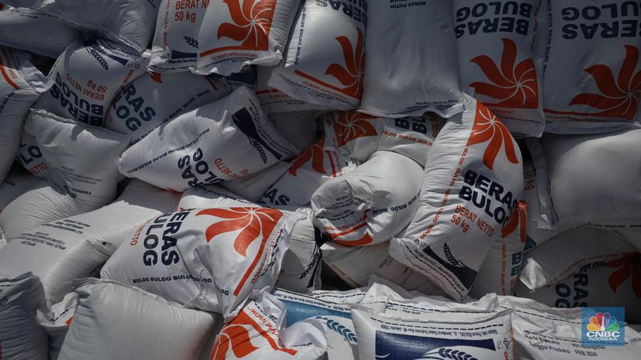 Suasana aktivitas pembongkaran beras impor dari Vietnam yang baru tiba di Terminal Pelabuhan Tanjung Priok, Jakarta, dengan menggunakan Kapal MP Fortune, Kamis (21/3/2024). (CNBC Indonesia/Tri Susilo)