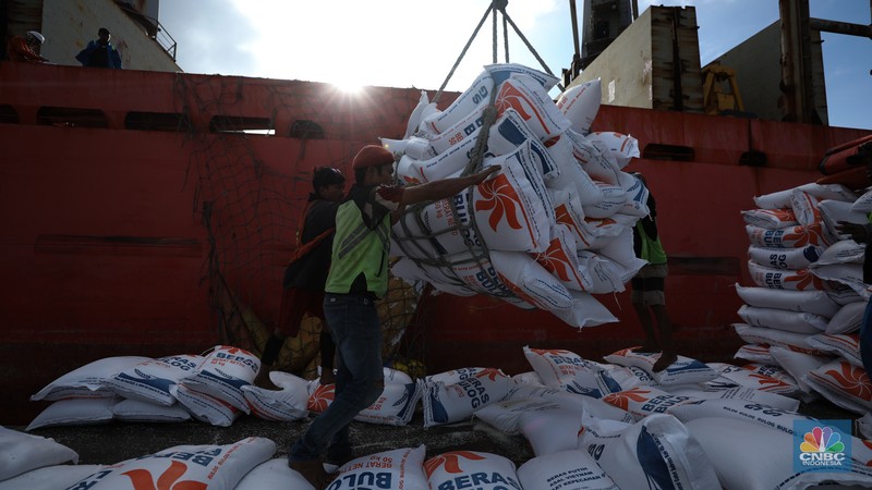 Suasana aktivitas pembongkaran beras impor dari Vietnam yang baru tiba di Terminal Pelabuhan Tanjung Priok, Jakarta, dengan menggunakan Kapal MP Fortune, Kamis (21/3/2024). (CNBC Indonesia/Tri Susilo)