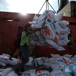 Bulog Akui Telat Bongkar Muat Beras Impor di Pelabuhan, Ini Alasannya