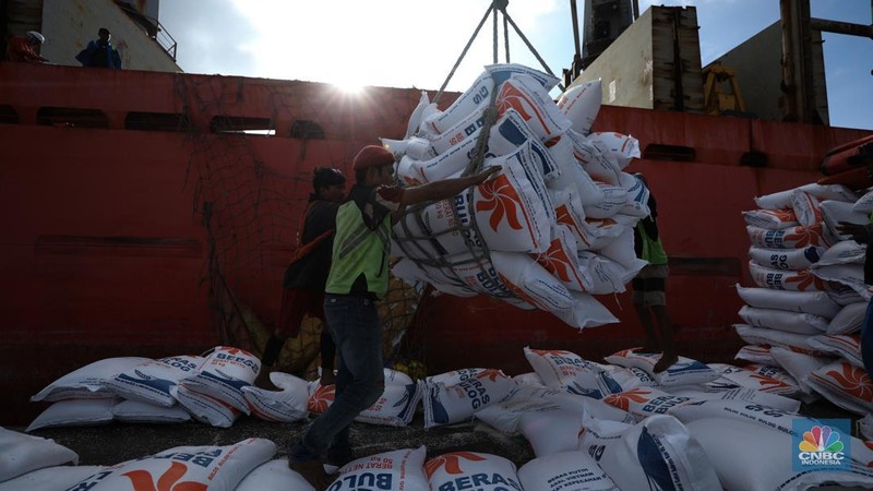 Suasana aktivitas pembongkaran beras impor dari Vietnam yang baru tiba di Terminal Pelabuhan Tanjung Priok, Jakarta, dengan menggunakan Kapal MP Fortune, Kamis (21/3/2024). (CNBC Indonesia/Tri Susilo)