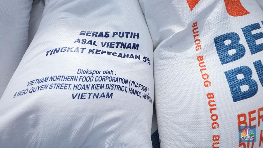 Suasana aktivitas pembongkaran beras impor dari Vietnam yang baru tiba di Terminal Pelabuhan Tanjung Priok, Jakarta, dengan menggunakan Kapal MP Fortune, Kamis (21/3/2024). (CNBC Indonesia/Tri Susilo)