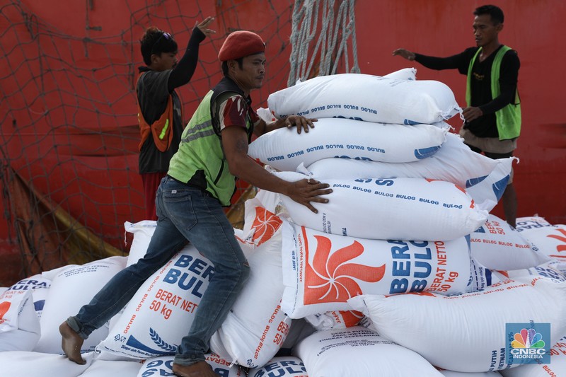 Suasana aktivitas pembongkaran beras impor dari Vietnam yang baru tiba di Terminal Pelabuhan Tanjung Priok, Jakarta, dengan menggunakan Kapal MP Fortune, Kamis (21/3/2024). (CNBC Indonesia/Tri Susilo)