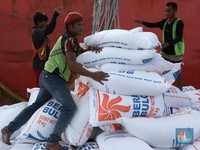 Bantu Tanam Padi, China Selamatkan RI dari Kutukan Impor Beras