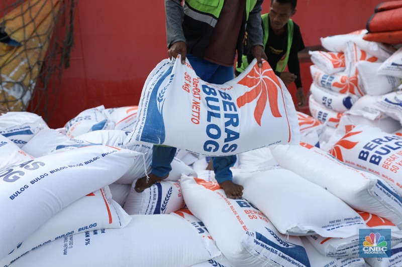 Suasana aktivitas pembongkaran beras impor dari Vietnam yang baru tiba di Terminal Pelabuhan Tanjung Priok, Jakarta, dengan menggunakan Kapal MP Fortune, Kamis (21/3/2024). (CNBC Indonesia/Tri Susilo)