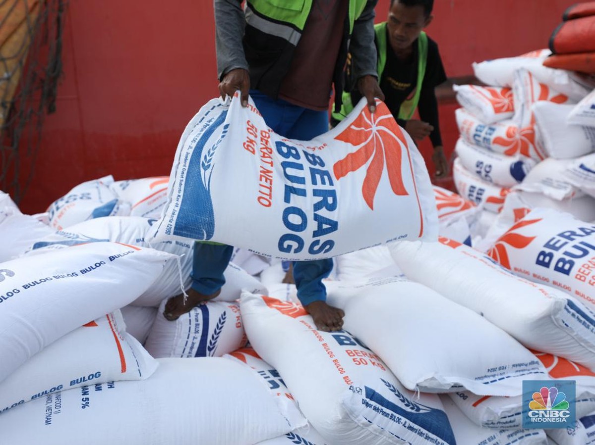 Pemerintah Tegaskan Tidak Ada Impor Beras Baru Tahun 2025, Ini Penjelasannya