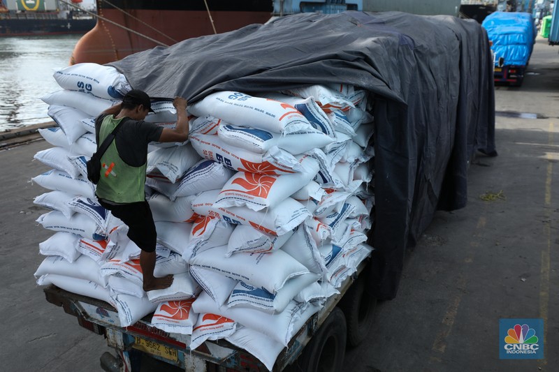 Suasana aktivitas pembongkaran beras impor dari Vietnam yang baru tiba di Terminal Pelabuhan Tanjung Priok, Jakarta, dengan menggunakan Kapal MP Fortune, Kamis (21/3/2024). Suasana aktivitas pembongkaran beras impor dari Vietnam yang baru tiba di Terminal Pelabuhan Tanjung Priok, Jakarta, dengan menggunakan Kapal MP Fortune, Kamis (21/3/2024). (CNBC Indonesia/Tri Susilo)