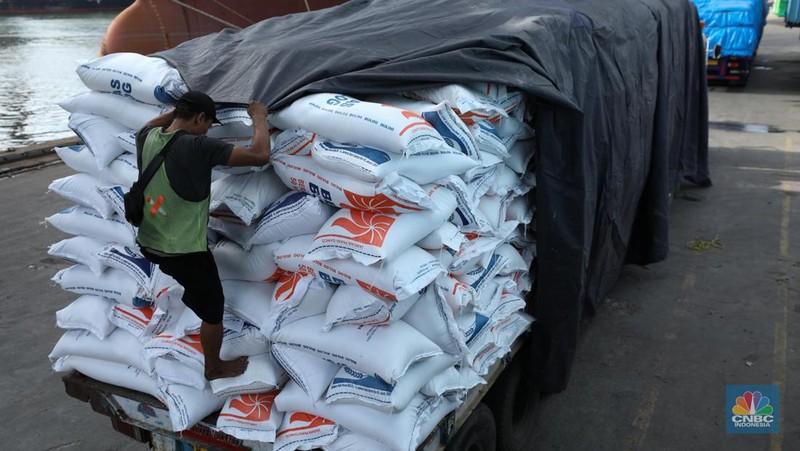 Suasana aktivitas pembongkaran beras impor dari Vietnam yang baru tiba di Terminal Pelabuhan Tanjung Priok, Jakarta, dengan menggunakan Kapal MP Fortune, Kamis (21/3/2024). (CNBC Indonesia/Tri Susilo)