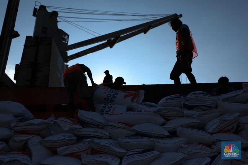 Suasana aktivitas pembongkaran beras impor dari Vietnam yang baru tiba di Terminal Pelabuhan Tanjung Priok, Jakarta, dengan menggunakan Kapal MP Fortune, Kamis (21/3/2024). Suasana aktivitas pembongkaran beras impor dari Vietnam yang baru tiba di Terminal Pelabuhan Tanjung Priok, Jakarta, dengan menggunakan Kapal MP Fortune, Kamis (21/3/2024). (CNBC Indonesia/Tri Susilo)