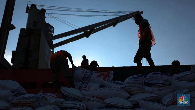 Suasana aktivitas pembongkaran beras impor dari Vietnam yang baru tiba di Terminal Pelabuhan Tanjung Priok, Jakarta, dengan menggunakan Kapal MP Fortune, Kamis (21/3/2024). (CNBC Indonesia/Tri Susilo)