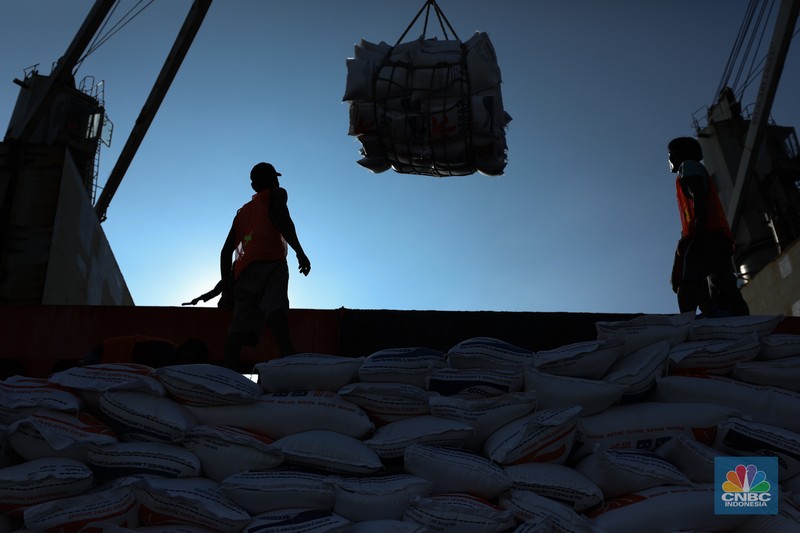 Suasana aktivitas pembongkaran beras impor dari Vietnam yang baru tiba di Terminal Pelabuhan Tanjung Priok, Jakarta, dengan menggunakan Kapal MP Fortune, Kamis (21/3/2024). (CNBC Indonesia/Tri Susilo)