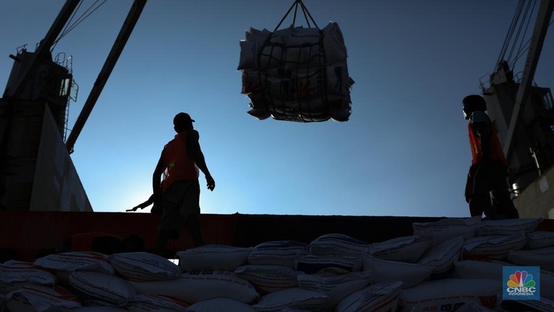 Suasana aktivitas pembongkaran beras impor dari Vietnam yang baru tiba di Terminal Pelabuhan Tanjung Priok, Jakarta, dengan menggunakan Kapal MP Fortune, Kamis (21/3/2024). (CNBC Indonesia/Tri Susilo)