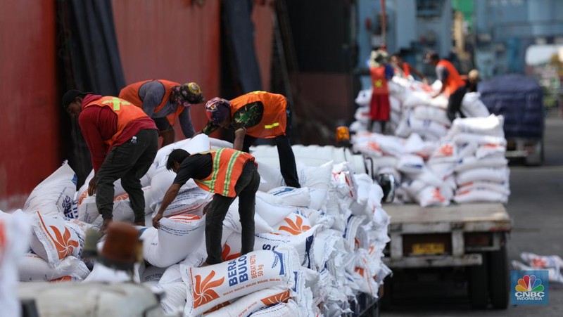 Suasana aktivitas pembongkaran beras impor dari Vietnam yang baru tiba di Terminal Pelabuhan Tanjung Priok, Jakarta, dengan menggunakan Kapal MP Fortune, Kamis (21/3/2024). (CNBC Indonesia/Tri Susilo)