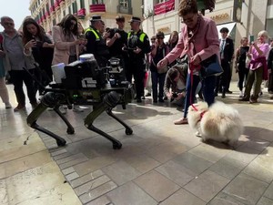 Melihat Uji Coba Robot Anjing Penegak Hukum Lalu Lintas di Spanyol