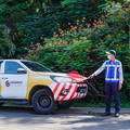 Sempat Hengkang dari Tol Terpanjang RI, Jasa Marga Bakal Masuk Lagi?