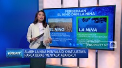 Video: Alarm La Nina Menyala, Harga Beras 'Menyala' Abangku?