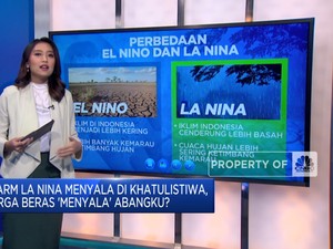 Video: Alarm La Nina Menyala, Harga Beras 'Menyala' Abangku?
