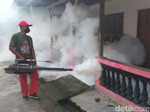 Dinkes Jateng Catat 90 Orang Meninggal Akibat DBD, Terbanyak di Jepara
