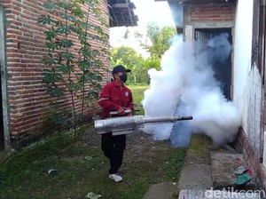 Awas! Demam Berdarah di Trenggalek Meningkat Tajam