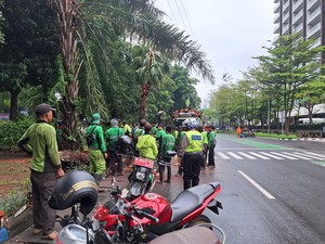 Pohon Tumbang di 2 Titik Jakarta Pusat Usai Hujan Disertai Angin