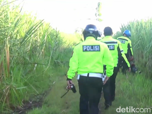 Hindari Razia, Pembalap Liar Lumajang Kabur Sembunyi di Kebun Tebu