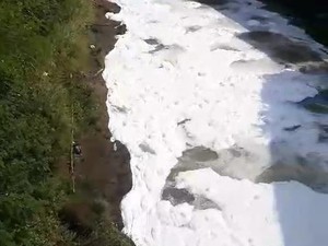 Sungai Ciliwung di Kedunghalang Bogor Berbusa, Diduga Tercemar Limbah Sabun