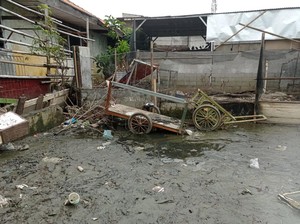 Banjir 2 Hari di Tegal Alur Surut, Warga Keluhkan Lumpur hingga Sampah