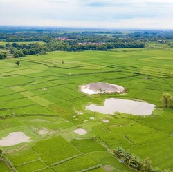 RI Gaet Prancis Demi Temukan 'Harta Karun Langka' di Grobogan Jateng