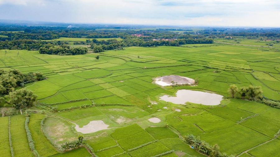 Bledug Kramesan. (Facebook/Wisata Grobogan)