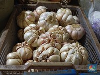 Kantor Presiden Minta Kemendag Waspadai Bawang Putih, Pertanda Apa?