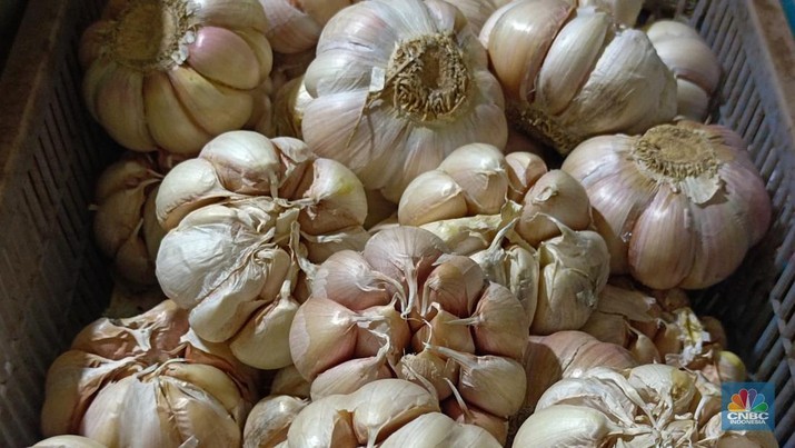 Harga bawang putih makin mahal di Jakarta, tembus Rp 50.000/kg. (CNBC Indonesia/Martyasari Rizky)