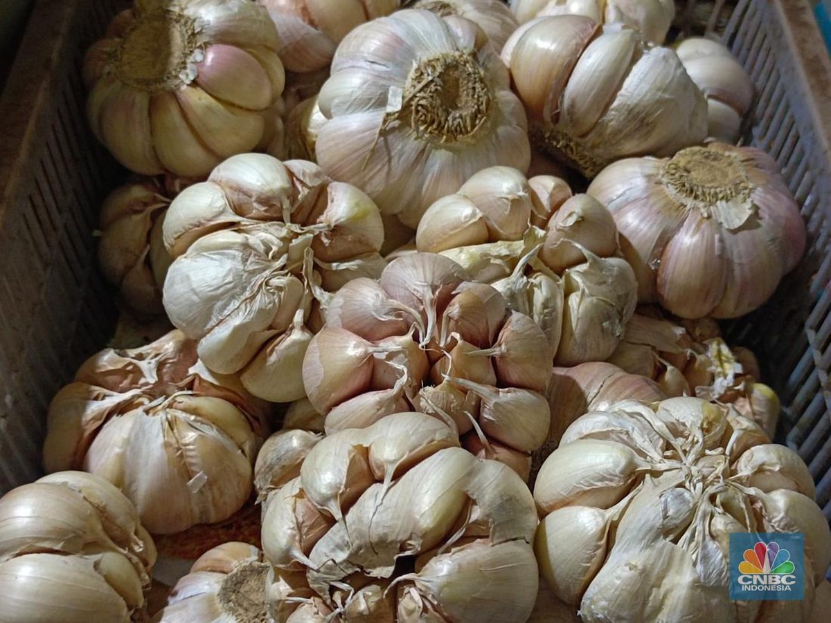 Harga Bawang Putih Naik Tinggi, Diduga Akibat Monopoli dan Izin Impor Terhambat