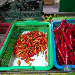 Kabar Gembira untuk Emak-Emak, Harga Cabai Ini Mulai Jinak Turun 40%