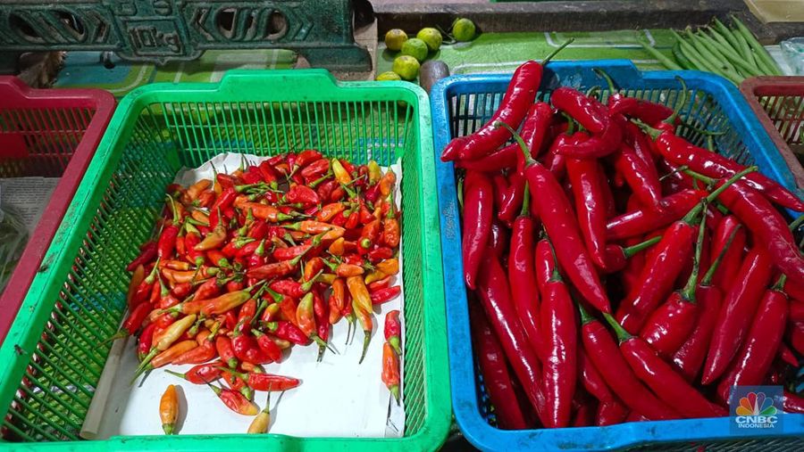 Harga cabai di pasar tradisional mengalami penurunan cukup signifikan, dimana sebelumnya harga cabai sempat tembus ke level Rp100.000 per kg selama beberapa pekan. (CNBC Indonesia/Martyasari Rizky)
