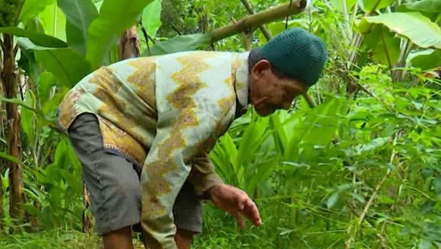 Marbot Lansia Hidup Sebatang Kara Bersandar pada Sepetak Kebun Rempah. Marbot Lansia Hidup Sebatang Kara Bersandar pada Sepetak Kebun Rempah. (Dok. Berbuat Baik)