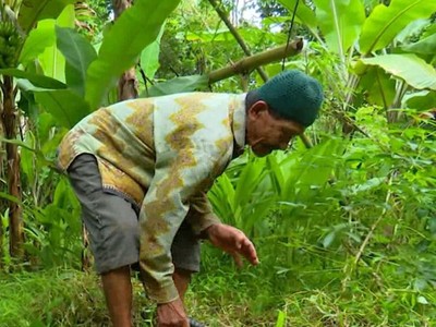 Jutaan Lansia RI Bekerja untuk Bertahan, Terjebak di Sektor Informal