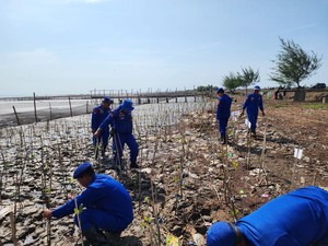 Kompol Hendrik Inisiasi Penanaman Mangrove-Bikin Program Ngomar di Pati