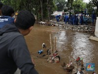 47 RT di Jakarta Terendam Banjir Luapan Ciliwung-Rob, Ini Lokasinya