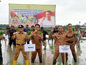 Pemkab Bone Optimalisasi 5.000 Hektare Lahan Rawa Jadi Sawah Produktif