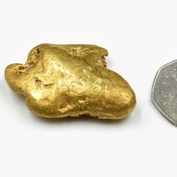 Pemburu Harta Karun Temukan Bongkahan Emas Terbesar Inggris 64,8 Gram