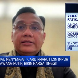 Harga Bawang Putih ke Rp68.000, Ombudsman Curigai Persekongkolan Jahat